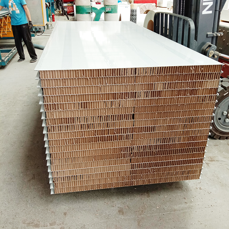 紙蜂窩凈化板,紙蜂窩凈化板廠家,紙蜂窩機制凈化板,紙蜂窩凈化板批發,紙蜂窩凈化板價格